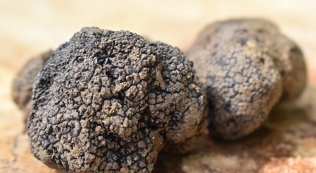 Fiera del Tartufo di Alba: calendario, dove si trova, come arrivare?